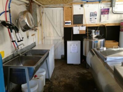 4 Tips for Filtering, Chilling and Cleaning Up To Ensure Clean and Safe Milk Image